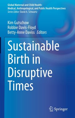 Sustainable Birth in Disruptive Times (eBook, PDF)