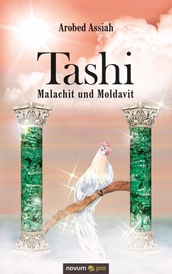 Cover Tashi - Malachit und Moldavit (eBook, ePUB)