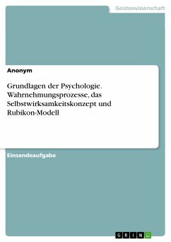 Grundlagen der Psychologie. Wahrnehmungsprozesse, das Selbstwirksamkeitskonzept und Rubikon-Modell (eBook, PDF)