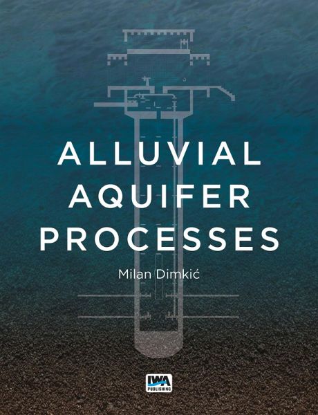 Alluvial Aquifer Processes (eBook, ePUB)