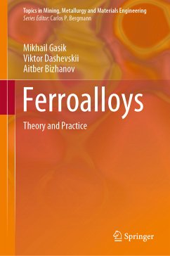 Ferroalloys (eBook, PDF) - Gasik, Mikhail; Dashevskii, Viktor; Bizhanov, Aitber