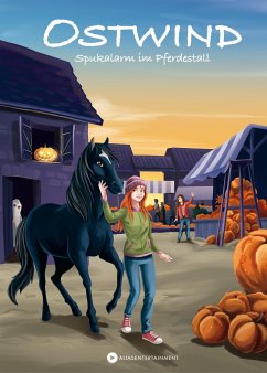 Spukalarm im Pferdestall / Ostwind für Erstleser Bd.11 - Thilo