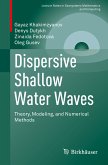 Dispersive Shallow Water Waves (eBook, PDF)