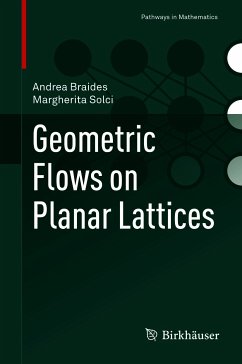 Geometric Flows on Planar Lattices (eBook, PDF) - Braides, Andrea; Solci, Margherita