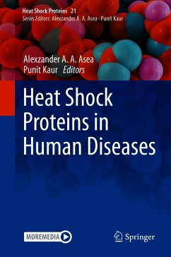 Heat Shock Proteins in Human Diseases (eBook, PDF)
