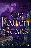 The Fallen Stars (The Star Child, #2) (eBook, ePUB)