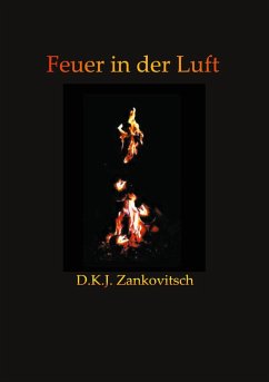 Feuer in der Luft (eBook, ePUB) - Zankovitsch, D. K. J.