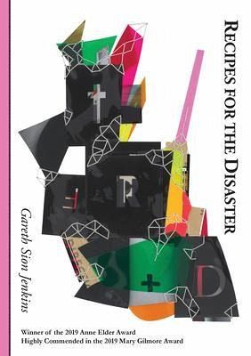 Recipes for the Disaster (eBook, ePUB)