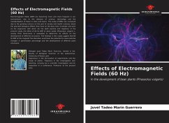 Effects of Electromagnetic Fields (60 Hz) - Marín Guerrero, Juvel Tadeo