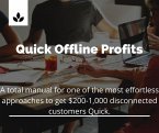 Quick Offline Profits (eBook, ePUB)