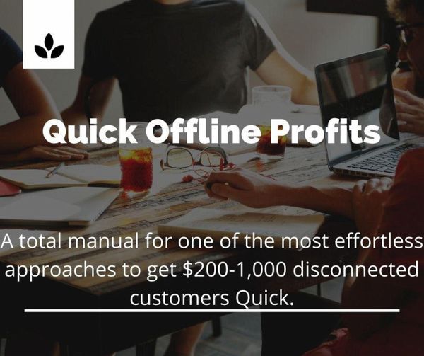 Quick Offline Profits (eBook, ePUB)