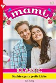 Sophies ganz große Liebe (eBook, ePUB)