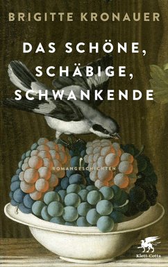 Das Schöne, Schäbige, Schwankende (Mängelexemplar) - Kronauer, Brigitte