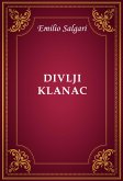 Divlji klanac (eBook, ePUB)