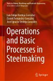 Operations and Basic Processes in Steelmaking (eBook, PDF)