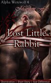 Lost Little Rabbit (eBook, ePUB)