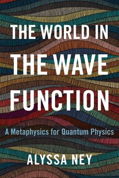The World in the Wave Function (eBook, ePUB) - Ney, Alyssa