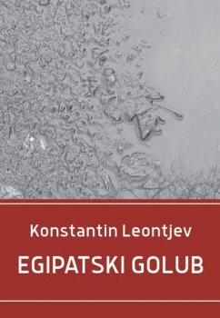 Egipatski golub (eBook, ePUB) - Leontjev, Konstantin