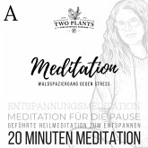 Waldspaziergang gegen Stress - Meditation A - 20 Minuten Meditation (MP3-Download)