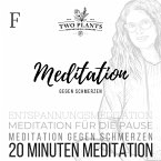 Meditation gegen Schmerzen - Meditation F - 20 Minuten Meditation (MP3-Download)