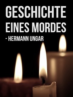 Geschichte eines Mordes (eBook, ePUB)