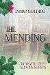 The Mending (eBook, ePUB) - Bild 1