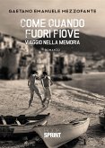 Come quando fuori piove (eBook, ePUB)