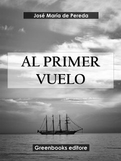 Al primer vuelo (eBook, ePUB) - María de Pereda, José