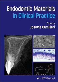 Cover Endodontic Materials in Clinical Practice (eBook, PDF)