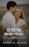 After the Holiday Prequel (eBook, ePUB)