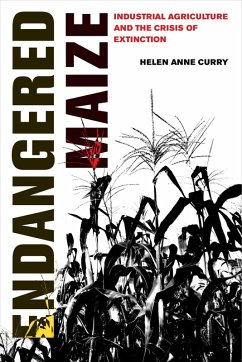 Endangered Maize (eBook, ePUB) - Curry, Helen Anne