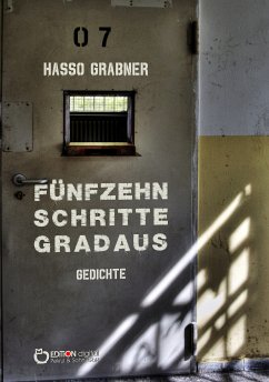 Fünfzehn Schritte gradaus (eBook, ePUB) - Grabner, Hasso