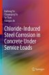 Chloride-Induced Steel Corrosion in... - Bild 1