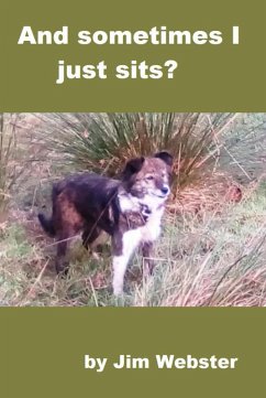 And Sometimes I Just Sits (eBook, ePUB) - Webster, Jim