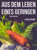 Aus dem Leben eines Geringen (eBook, ePUB) Aus dem Leben eines Geringen (eBook, ePUB)