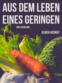 Aus dem Leben eines Geringen (eBook, ePUB)