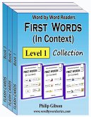 First Words (In Context) (eBook, ePUB)