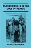 Tarpon Fishing In The Gulf Of Mexico (eBook, ePUB)