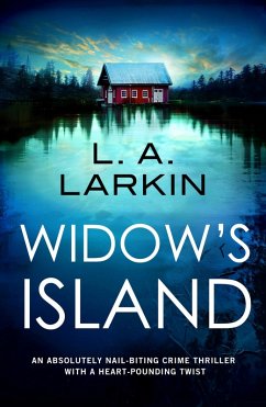 Widow's Island (eBook, ePUB)