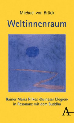 Weltinnenraum (eBook, PDF) - Brück, Michael von