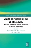 Visual Representations of the Arctic