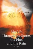 My Life Through the Storm, the Fire, and the Rain (eBook, ePUB)