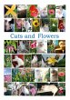 Cats and Flowers - Bild 1