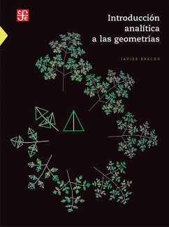 Introducción analítica a las geometrías (eBook, PDF) - Bracho, Javier