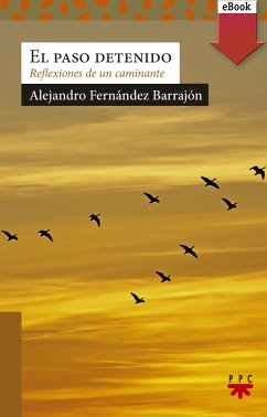 El paso detenido (eBook, ePUB) - Fernández Barrajón, Alejandro