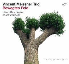Bewegtes Feld - Meissner,Vincent Trio