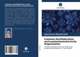 Irokesen-Konföderation sozio-potestamentarische Organisation