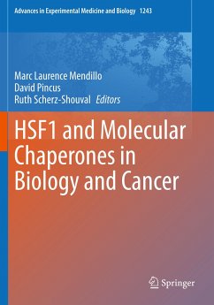 HSF1 and Molecular Chaperones in Biology and Cancer