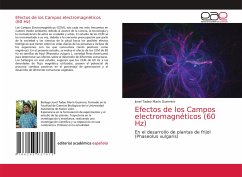Efectos de los Campos electromagnéticos (60 Hz) - Marín Guerrero, Juvel Tadeo