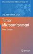 Tumor Microenvironment - Bild 1